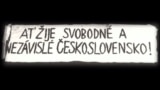 Протест в Москве против вторжения в Чехословакию: 50 лет спустя
