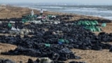 RUSSIA - Volunteers work to clear spilled oil on the coastline following an incident involving two tankers damaged in a storm in the Kerch Strait, December 21, 2024